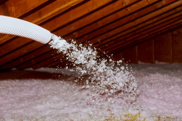 Best Types of Insulation in Apalachicola, FL