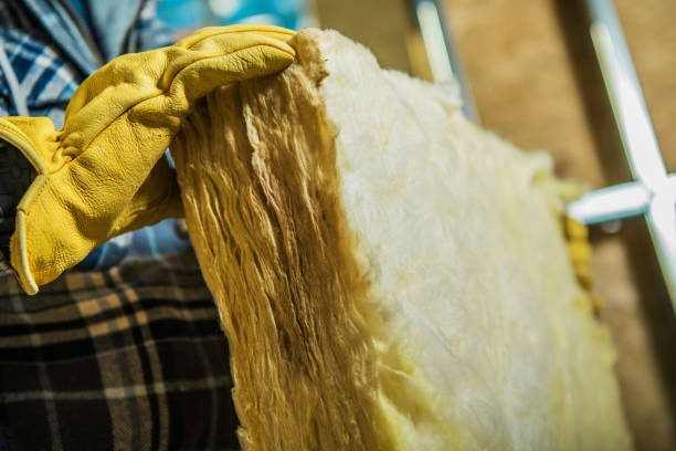 Best Insulation Installation Services in Apalachicola, FL