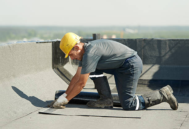 Best Residential Insulation in Apalachicola, FL